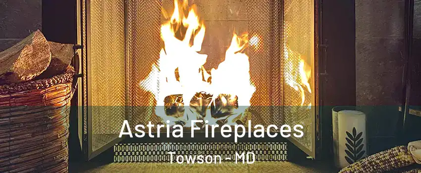  Astria Fireplaces Towson - MD
