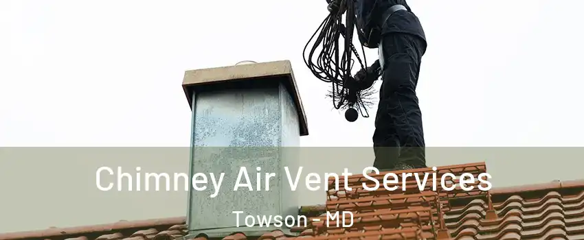  Chimney Air Vent Services Towson - MD