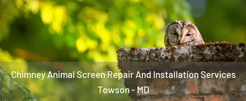  Chimney Animal Screen Repair And Installation Services Towson - MD