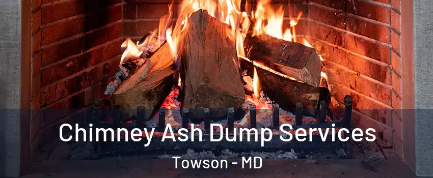 Chimney Ash Dump Services Towson - MD