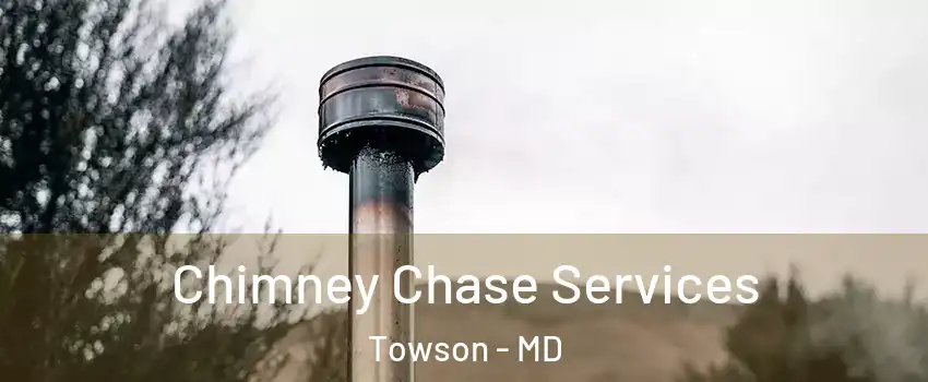  Chimney Chase Services Towson - MD