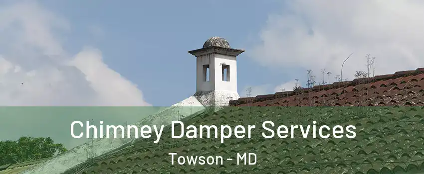  Chimney Damper Services Towson - MD