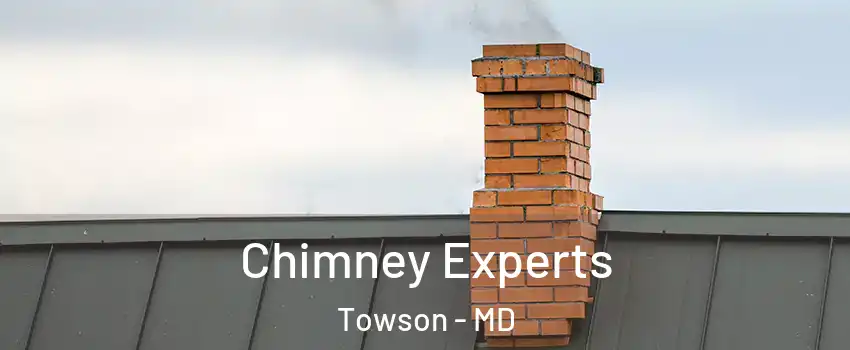 Chimney Experts Towson - MD