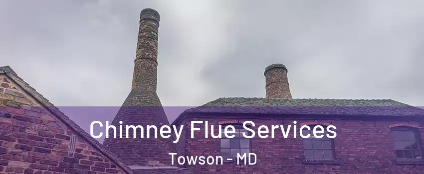  Chimney Flue Services Towson - MD
