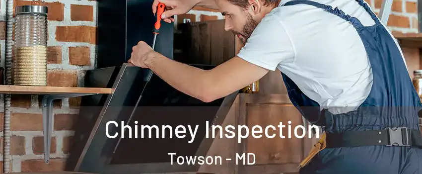  Chimney Inspection Towson - MD