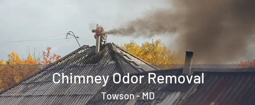 Chimney Odor Removal Towson - MD