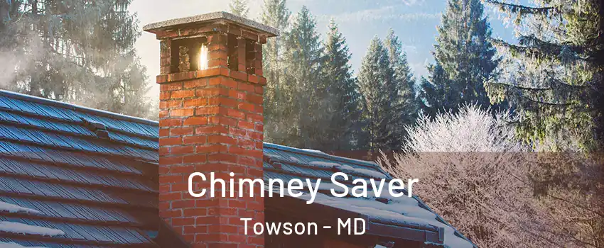  Chimney Saver Towson - MD