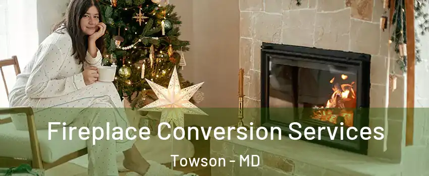  Fireplace Conversion Services Towson - MD