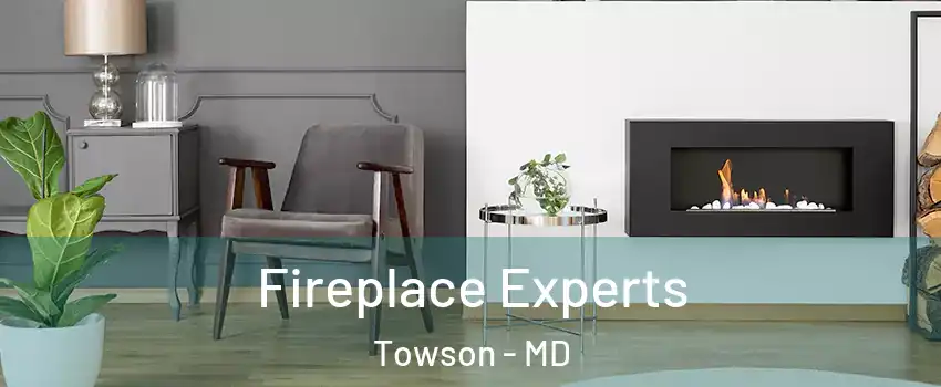  Fireplace Experts Towson - MD