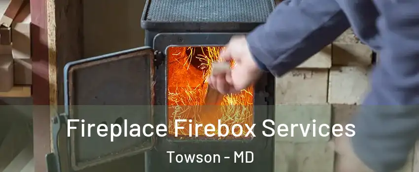  Fireplace Firebox Services Towson - MD