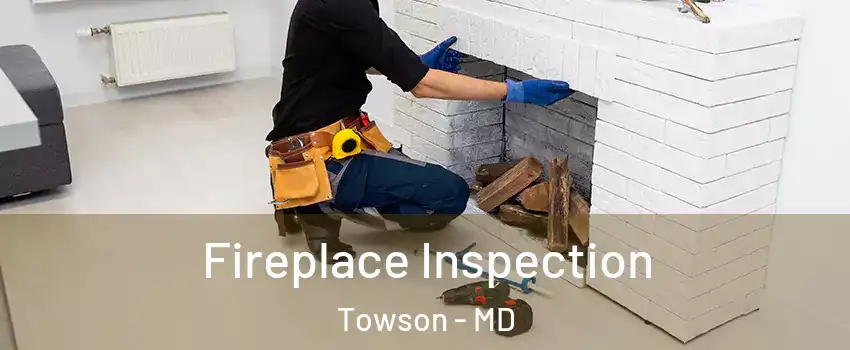  Fireplace Inspection Towson - MD