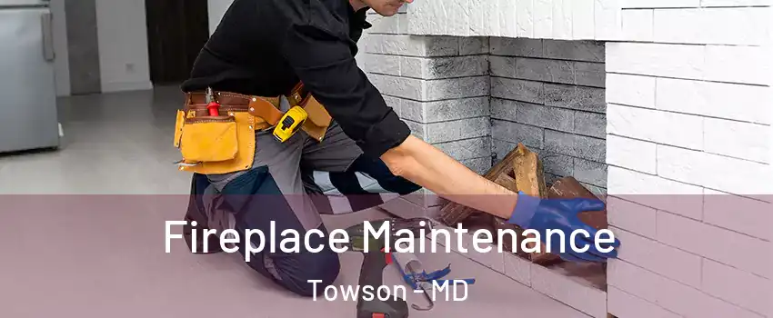  Fireplace Maintenance Towson - MD