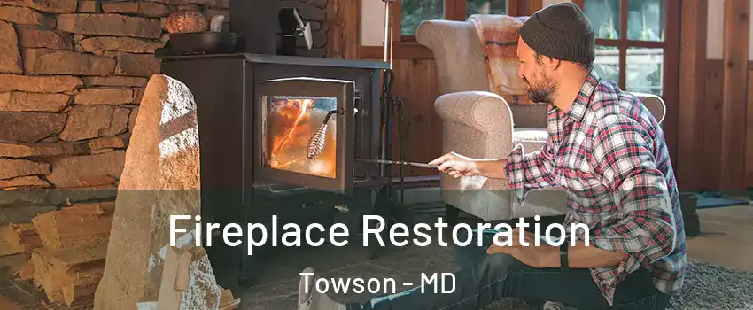  Fireplace Restoration Towson - MD