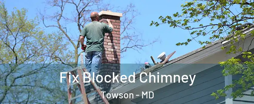  Fix Blocked Chimney Towson - MD