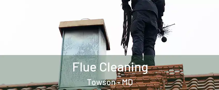  Flue Cleaning Towson - MD