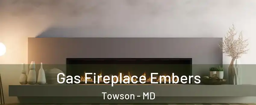  Gas Fireplace Embers Towson - MD