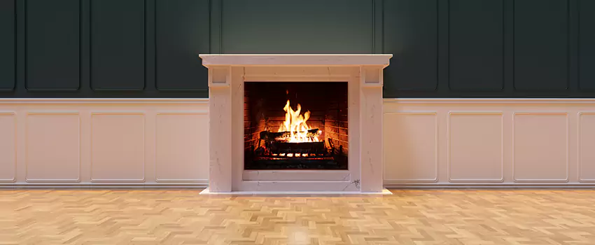 Napoleon Electric Fireplaces Inspection Service in Towson, Maryland