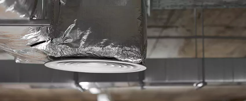 Signs of Dust Accumulation in Vents in Towson, MD