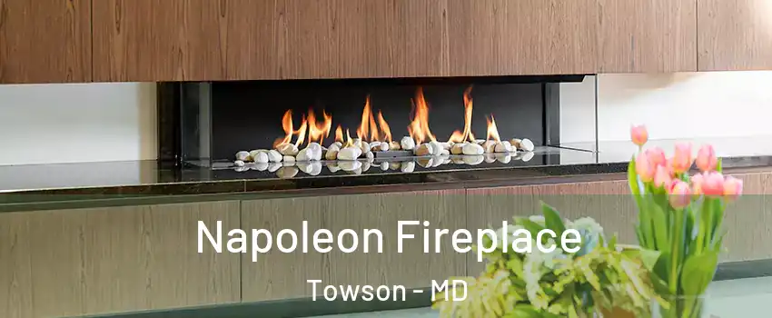  Napoleon Fireplace Towson - MD