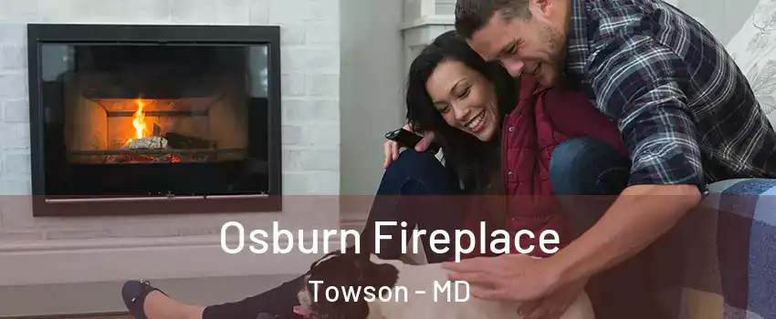  Osburn Fireplace Towson - MD